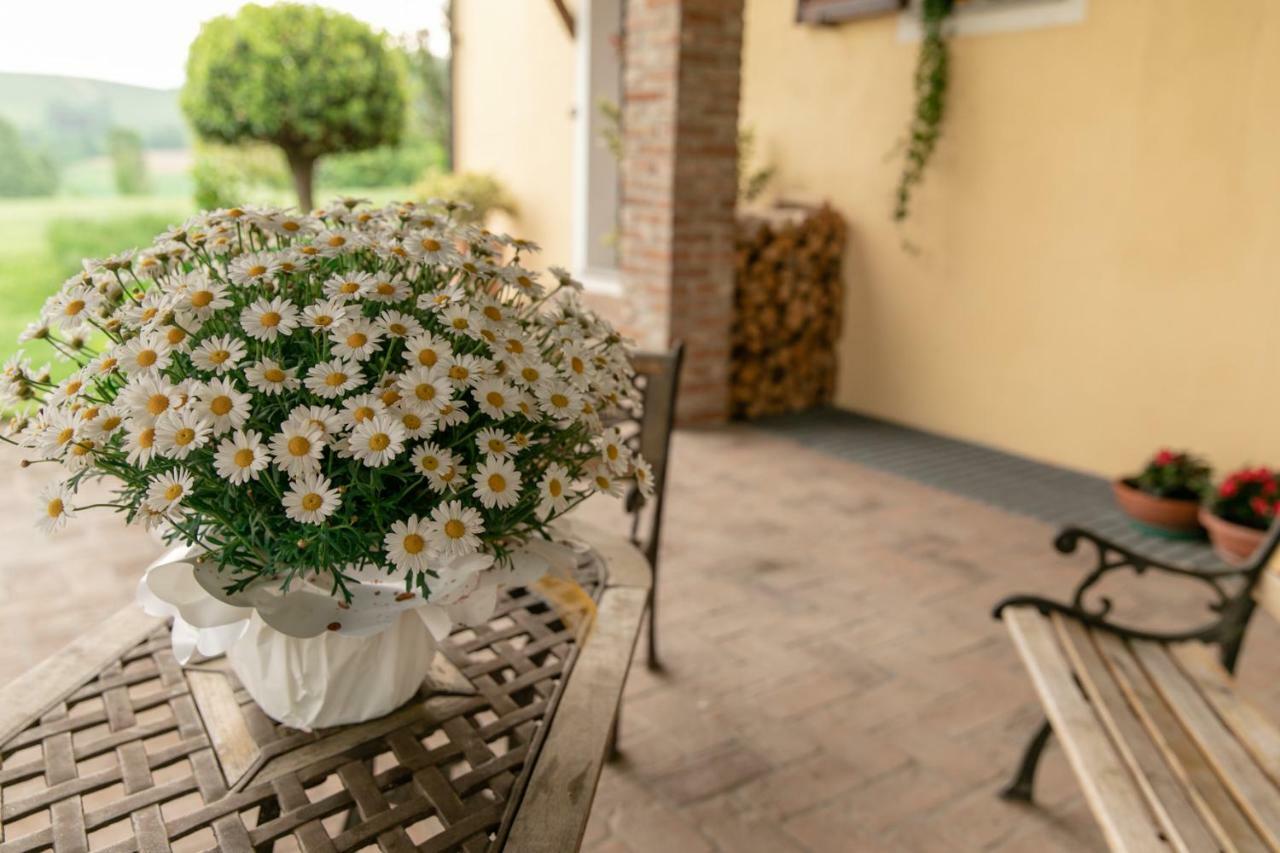 Apartmán La Casa In Collina Alba  Exteriér fotografie